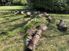 Seasoned mixed oak hardwood - seasoned,