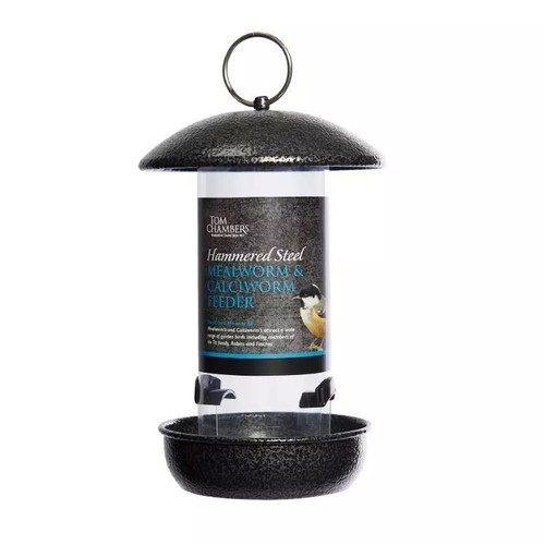 Bird mealworm feeder steel - bird,