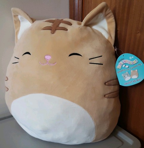 Nathan cat squishmallow - 14",