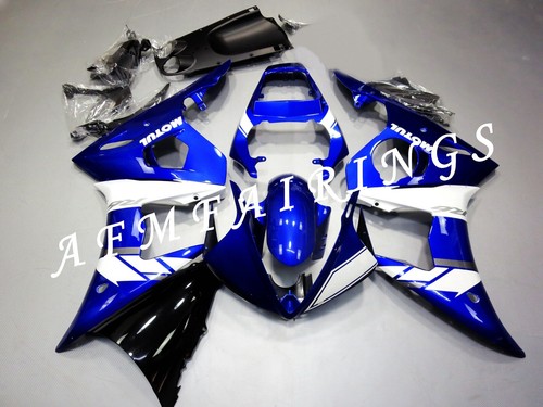 Blue white abs injection mold - white,