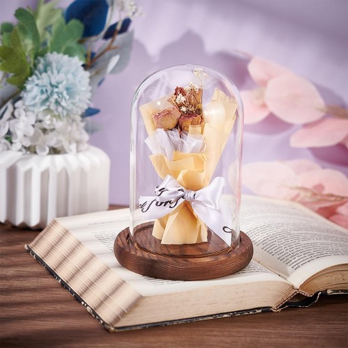 Glass display cloche - dome, with