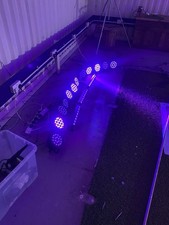 16 Ultraviolet Lights