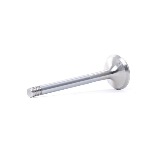Exhaust valve for - exhaust,