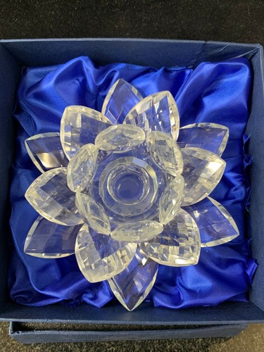 Crystal lotus flower tea - lotus, light