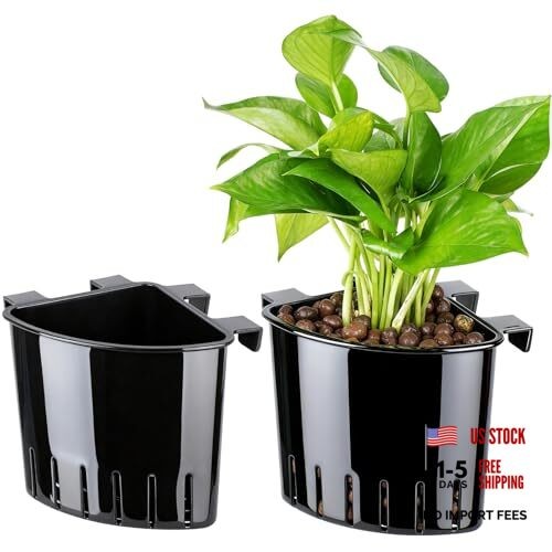 2026 large aquarium corner - 2026,