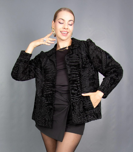 9801d amazing persian - 9801d,