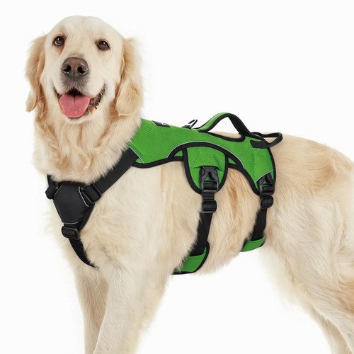Rabbitgoo escape proof - escape, dog