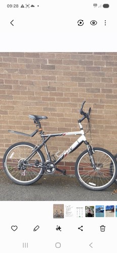 Mountain bike - mountain,