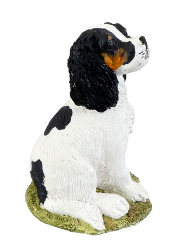 Cavalier king charles spaniel - charles,