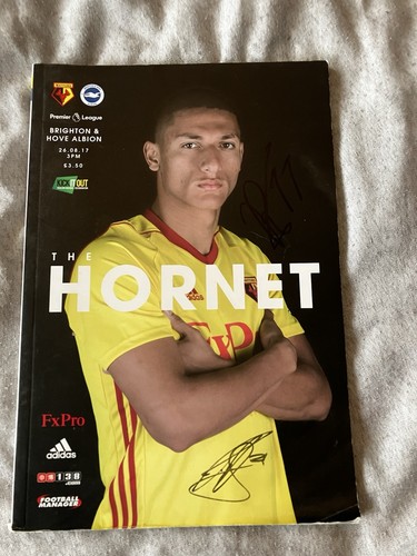 Watford brighton hove - brighton,