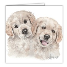 Golden Retriever Puppies