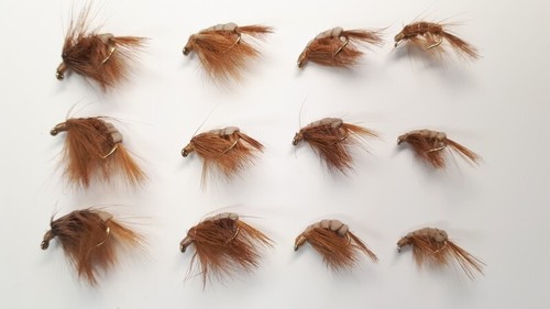Brown shrimps mixed - x, shrimps,