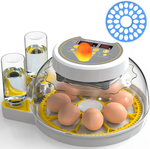 Dezhxhe egg incubators - dezhxhe,