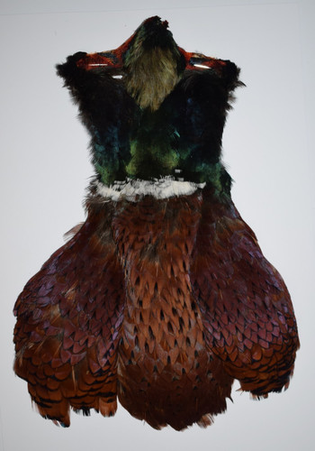 Cock pheasant cape - cock,