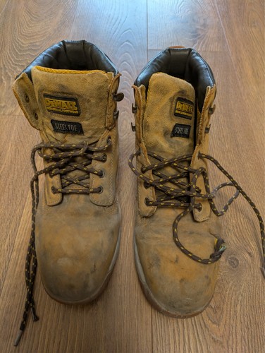 Dewalt apprentice men safety - dewalt,
