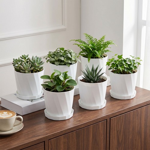 6pcs large plant pot with - 6pcs,