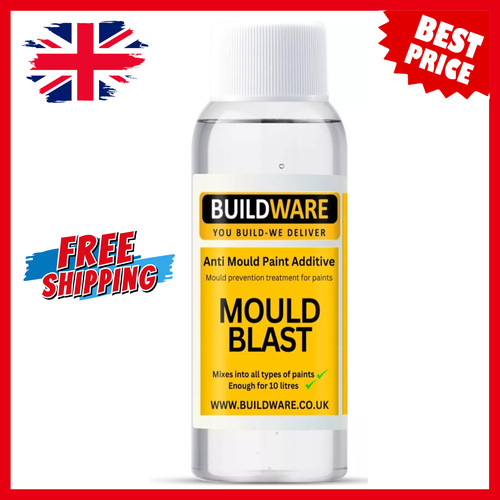 Anti mould paint additive - paint,