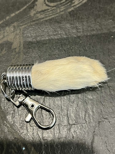 Real lucky rabbit - 2x,