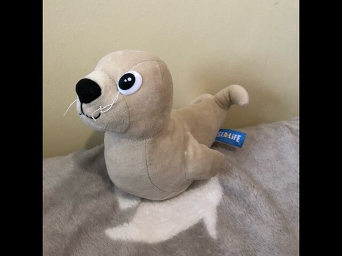 Lilly the seal - the, from