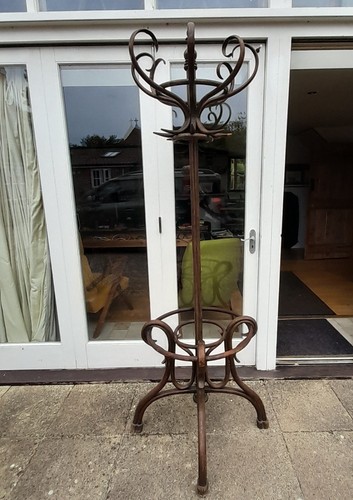 Large decorative bentwood - decorative,