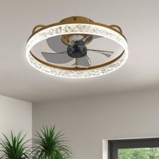 Modern LED Ceiling Fan Light