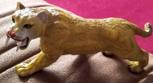 Vintage aaa sabre - tooth, tiger