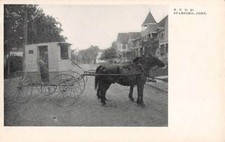 STAMFORD, CT, RFD 30, HORSE