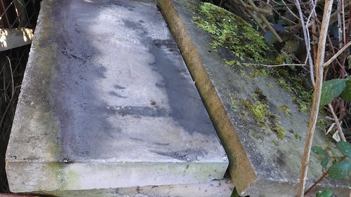 Coping stones reclaimed - coping,