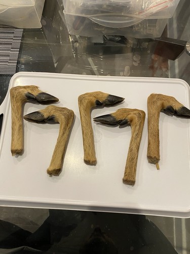 Walking stick handles roe deer - walking,