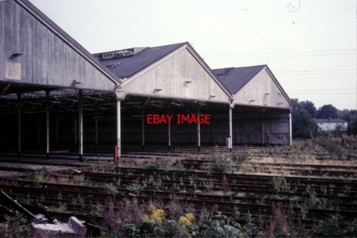 Photo croxley green branch - green,