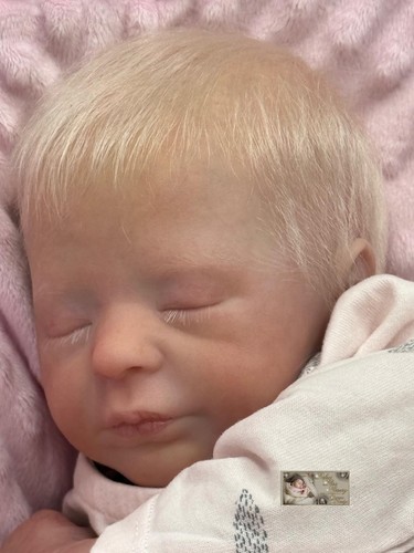Pbn bargain reborn baby - pbn***,