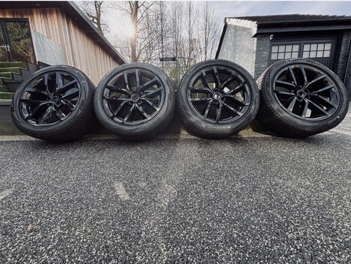 Genuine immaculate range - immaculate,
