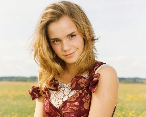 Emma watson photo 8x10 glossy - 8x10,