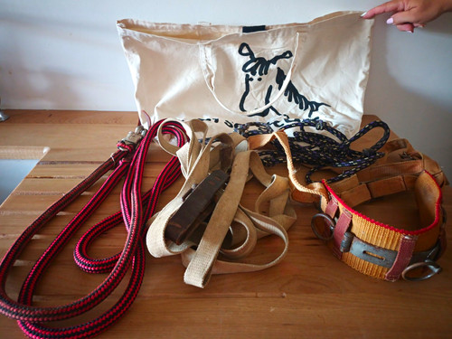 Horse stuff tack bundle - tack, rope