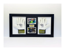 Double Goalie Glove Display