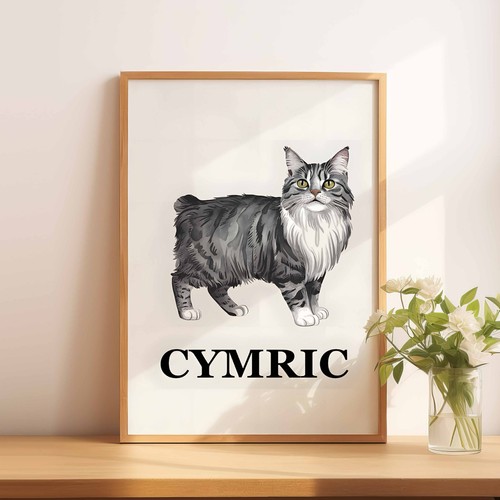 Cymric cat illustration - a4,