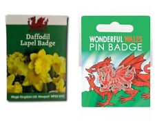 New Welsh Wales Enamel Red Dragon St David's Day Flower Daffodil Lapel Pin Badge