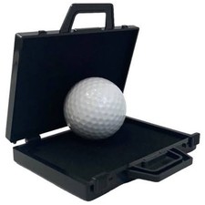 4 Dimensional Trunk (T-228) by