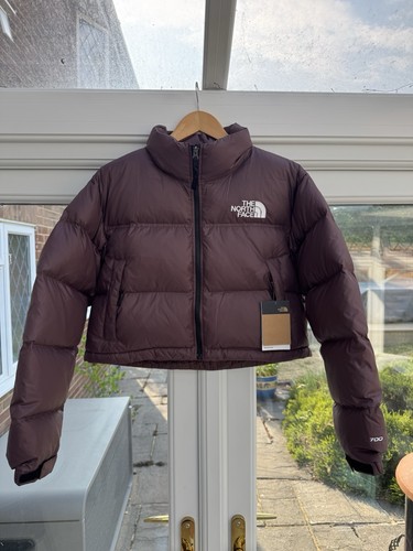 The north face nuptse - the, short