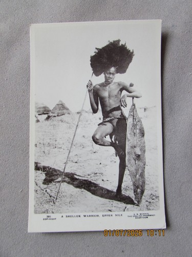 Egypt sudan shulluk warrior - egypt,