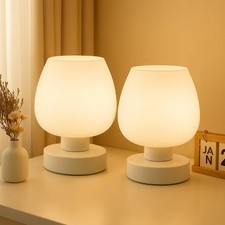 Modern Touch Table Lamp Globe