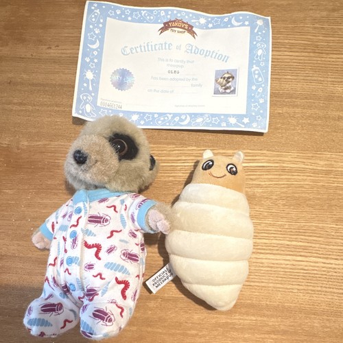 Baby oleg meerkat - meerkat, with