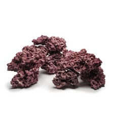 Marco rock coral - d-d, reef