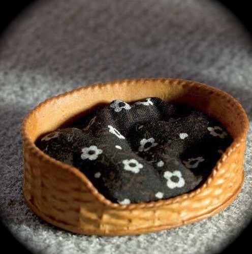 Pet bed with - pet, comfy