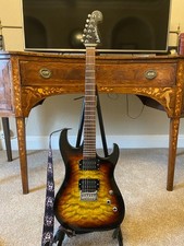 Washburn Pro X Series Electric