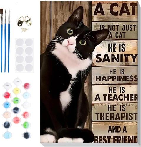 Cat paint numbers kit - by,