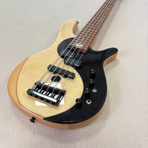 5strings electric bass guitar - 5strings,