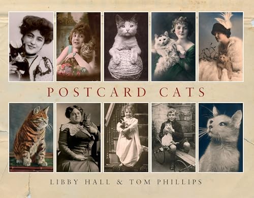 Postcard cats phillips - phillips,, tom