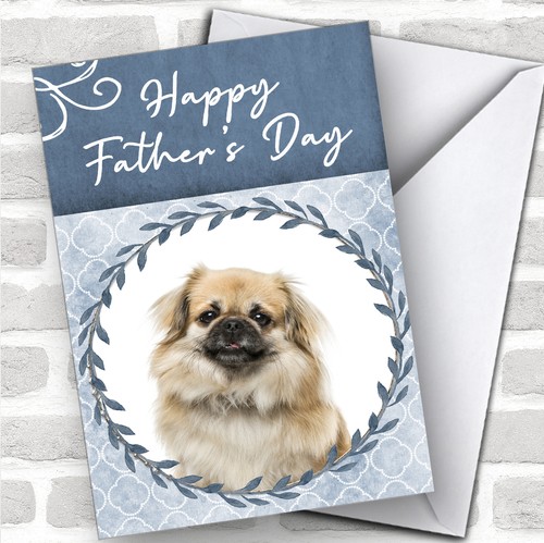 Tibetan spaniel dog - tibetan,