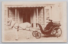 RPPC Queen Victoria Donkey Trap Invalid Carriage Bath Chair Social History